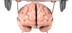How mind games help improve the brain