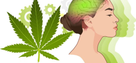Can You Keep Your Brain Healthy With Hemp